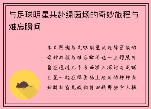 与足球明星共赴绿茵场的奇妙旅程与难忘瞬间