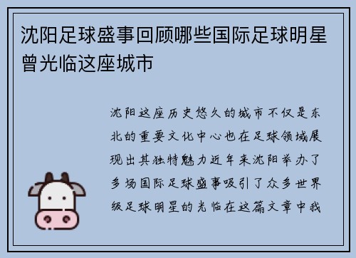 沈阳足球盛事回顾哪些国际足球明星曾光临这座城市